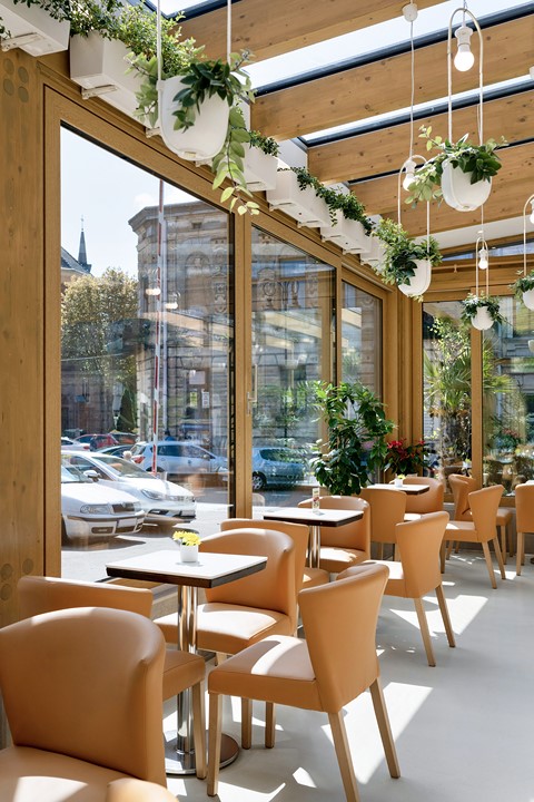 okna i drzwi tarasowe WISNIOWSKI w 220510 b8135